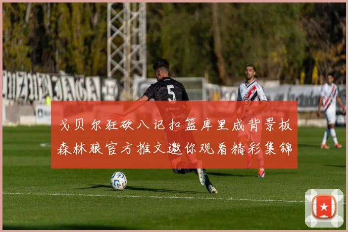 戈贝尔狂砍八记扣篮库里成背景板森林狼官方推文邀你观看精彩集锦